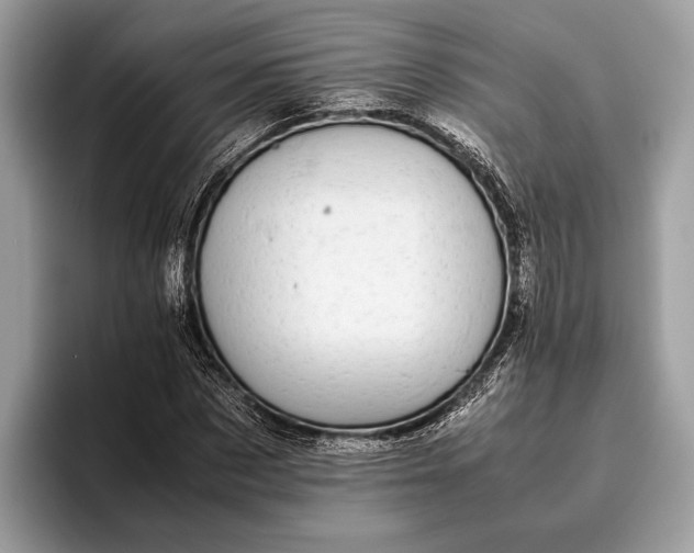 X0000095910873200801251008