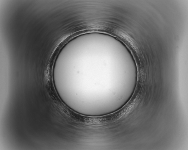 X0000095910875200801251008