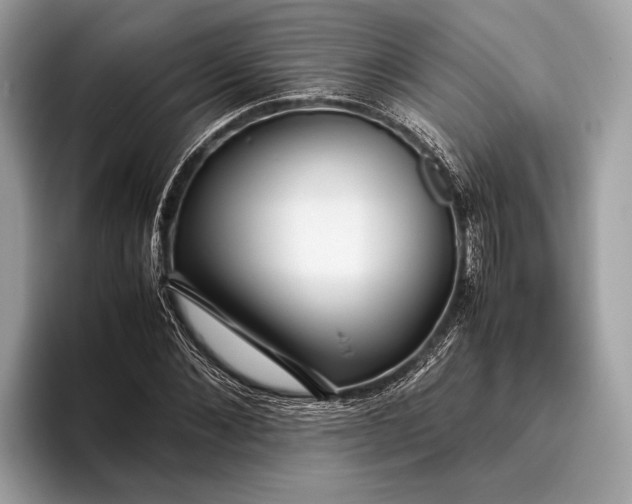 X0000095910876200801251008