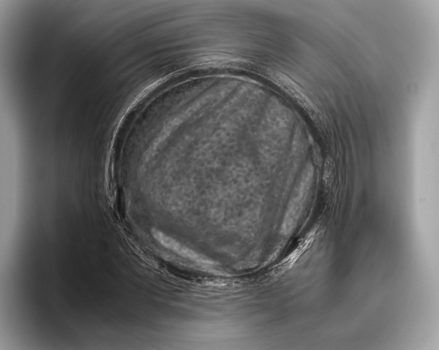 X0000095910877200801251008