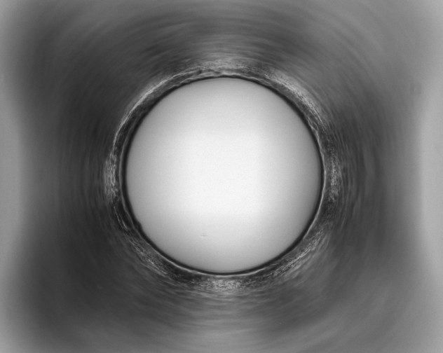 X0000095910878200801251008