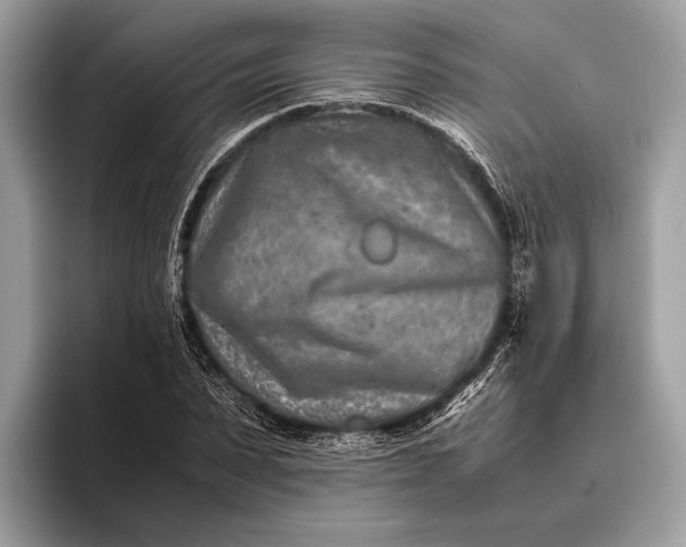 X0000095910879200801251008