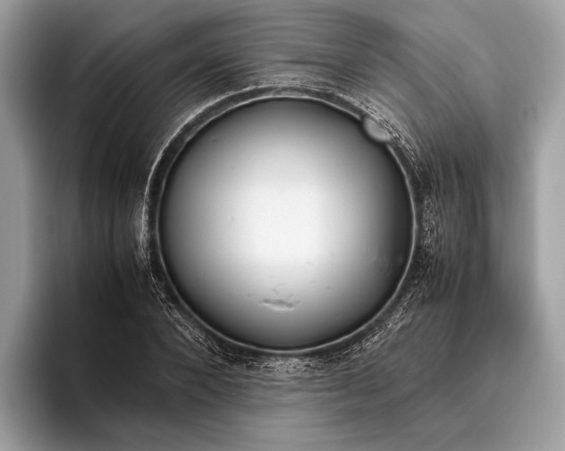 X0000095910880200801251008