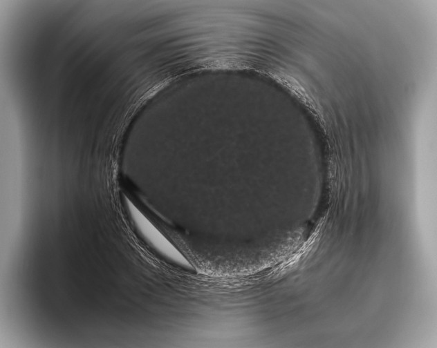 X0000095910881200801251008