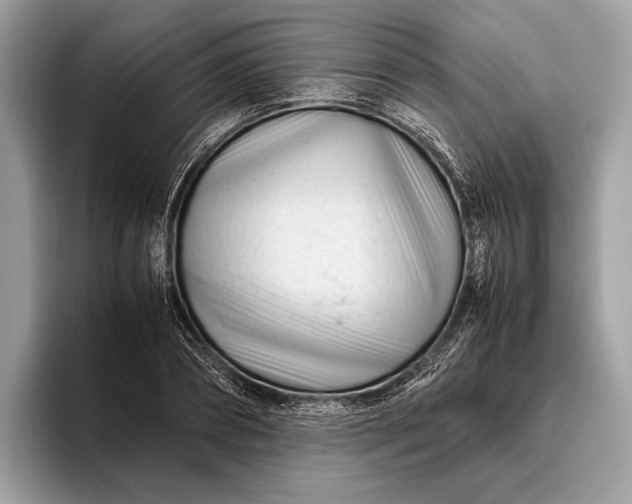 X0000095910882200801251008