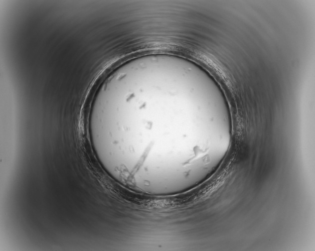 X0000095910883200801251008