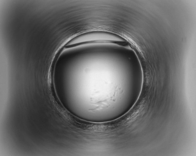 X0000095910885200801251008