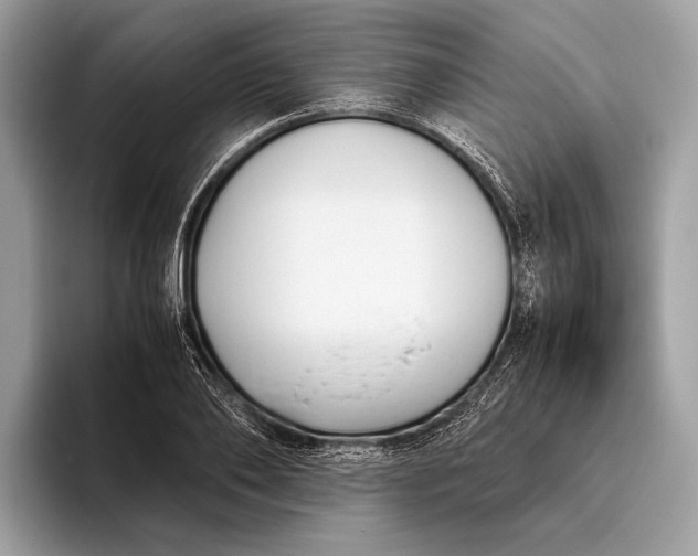 X0000095910886200801251007