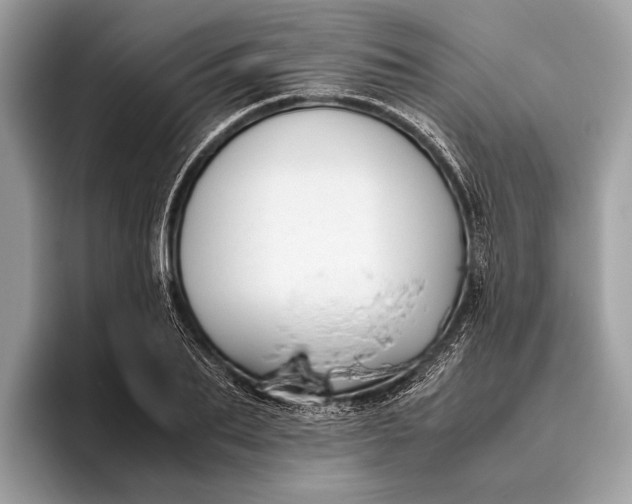 X0000095910887200801251007