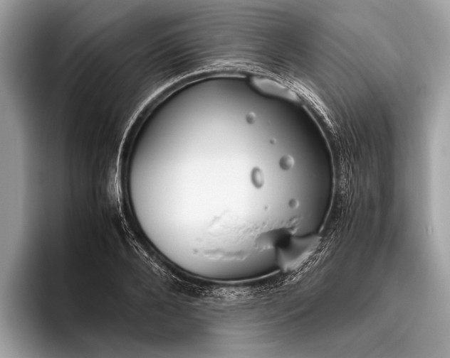 X0000095910888200801251007