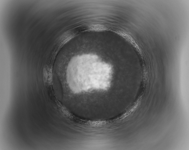 X0000095910889200801251007