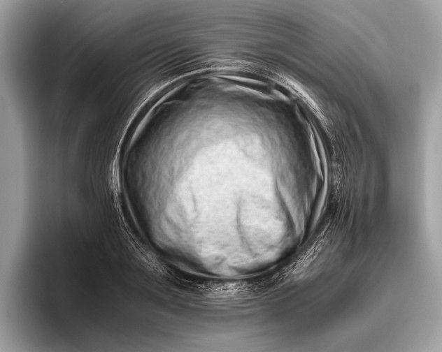 X0000095910891200801251007