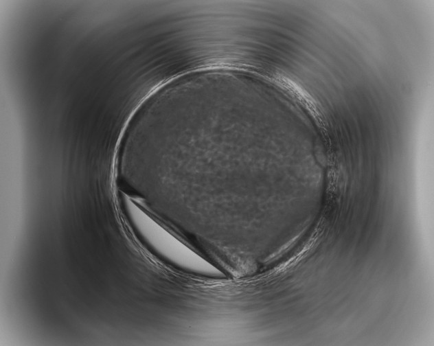 X0000095910892200801251007