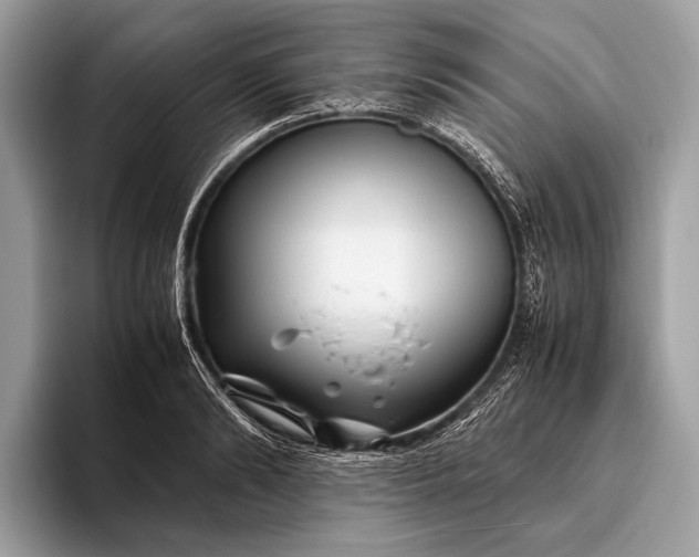 X0000095910894200801251007