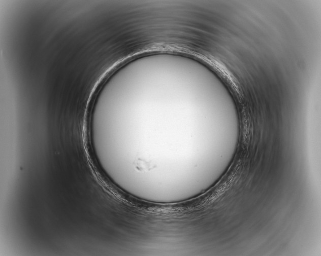 X0000095910896200801251007