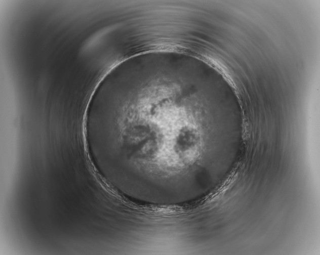 X0000095910899200801251007