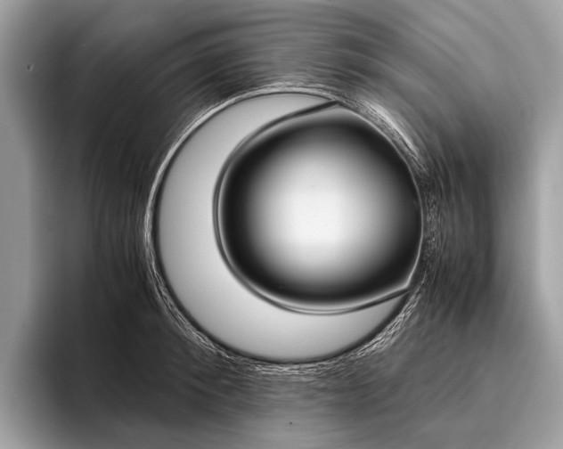 X0000095910900200801251007