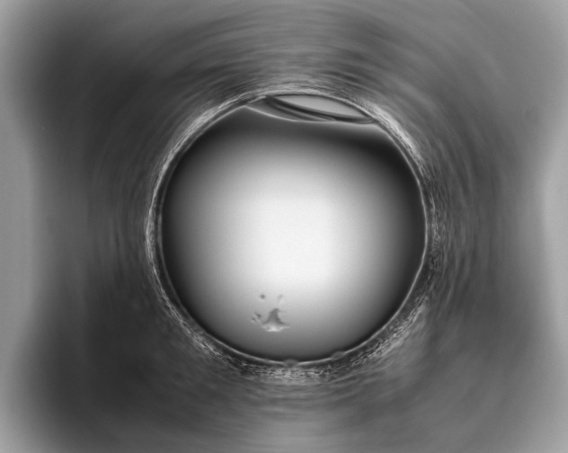 X0000095910901200801251007