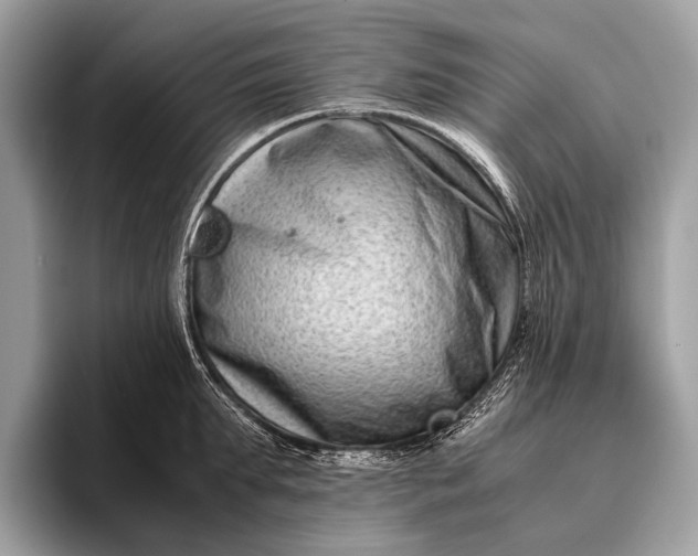 X0000095910903200801251007