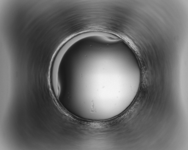 X0000095910904200801251007