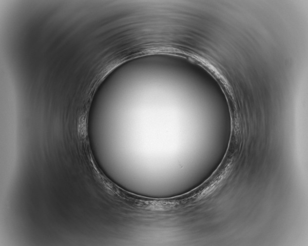 X0000095910905200801251007