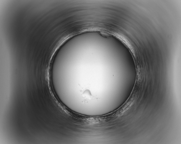 X0000095910906200801251007