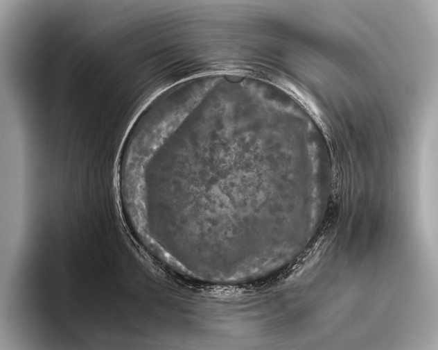 X0000095910907200801251007