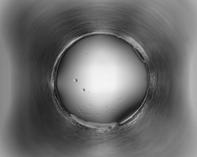 X0000095910908200801251007