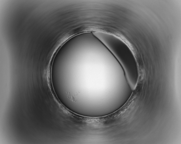 X0000095910909200801251007