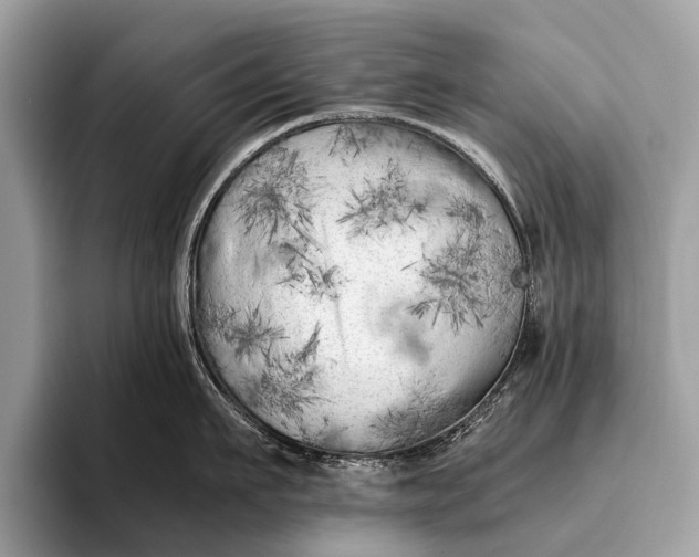 X0000095910911200801251007