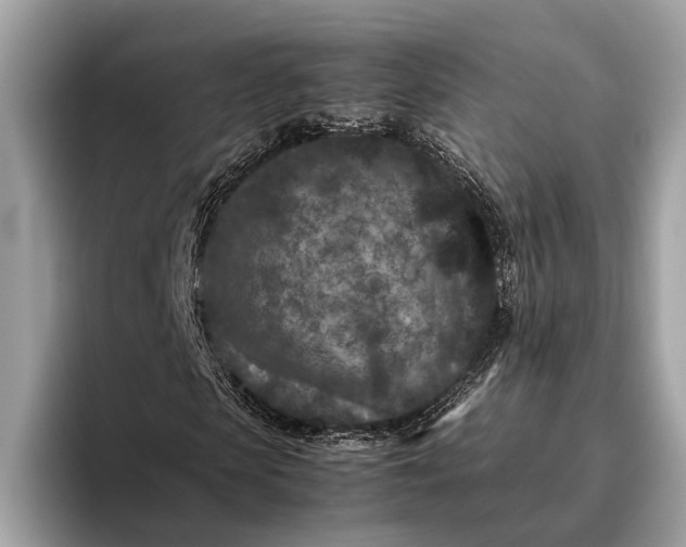 X0000095910913200801251007