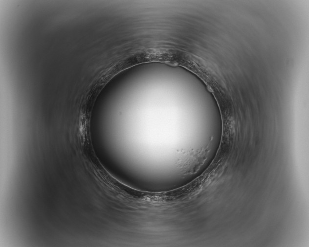 X0000095910914200801251007