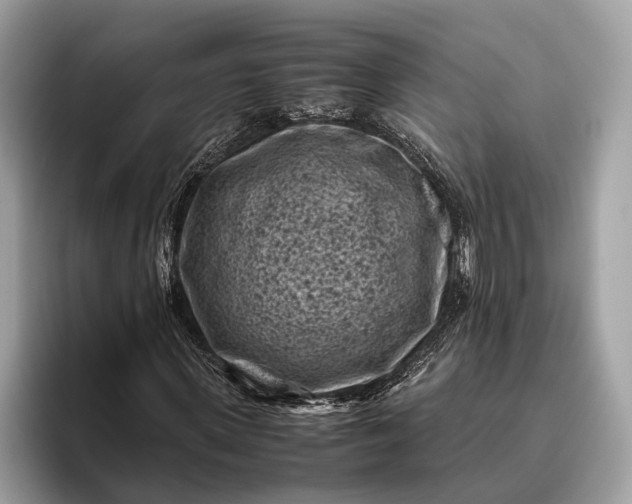 X0000095910915200801251007