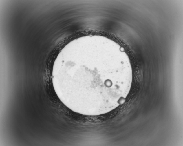 X0000095910918200801251007