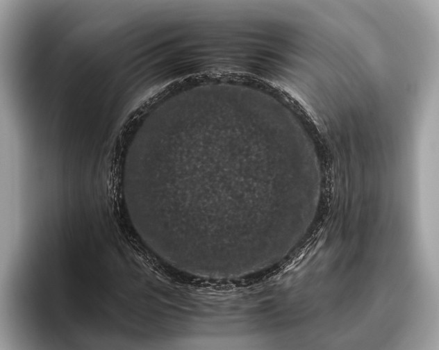 X0000095910919200801251007