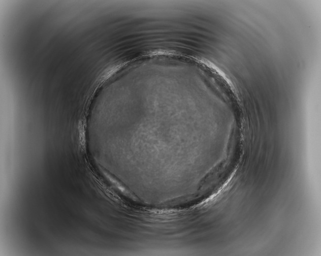 X0000095910921200801251007