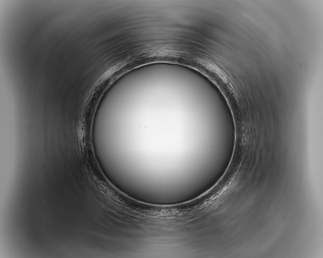 X0000095910922200801251007