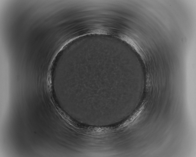 X0000095910923200801251007