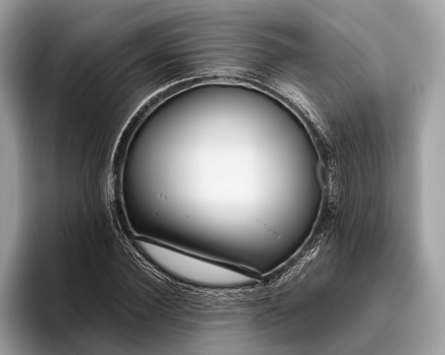 X0000095910924200801251007