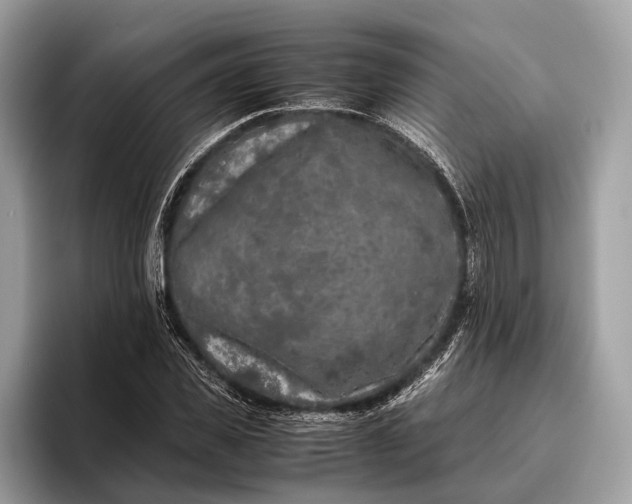 X0000095910925200801251007