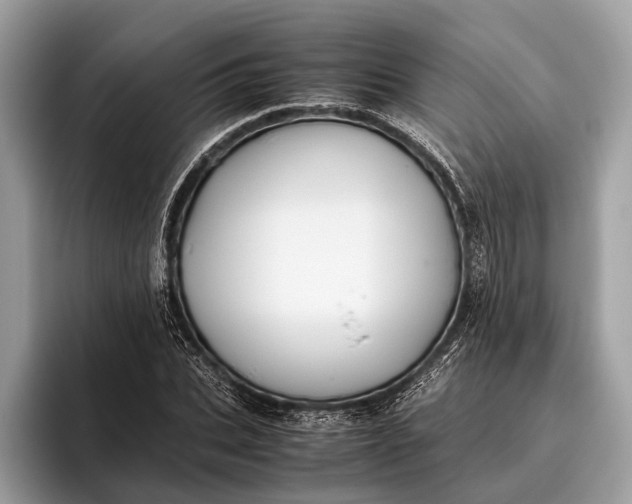 X0000095910927200801251007