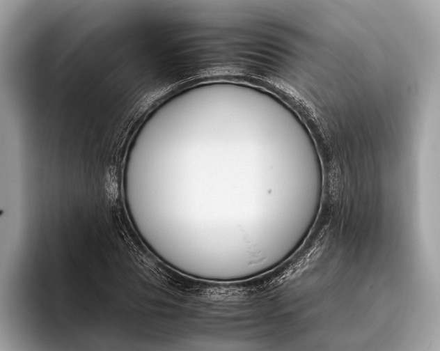 X0000095910929200801251007