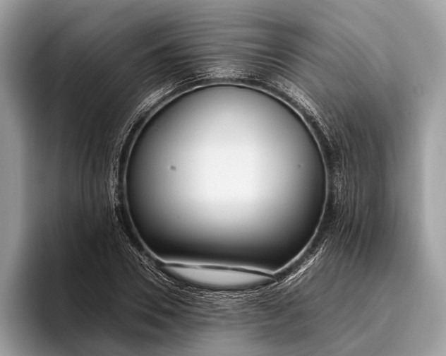 X0000095910930200801251007