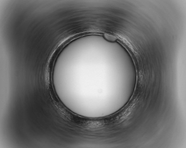 X0000095910931200801251007