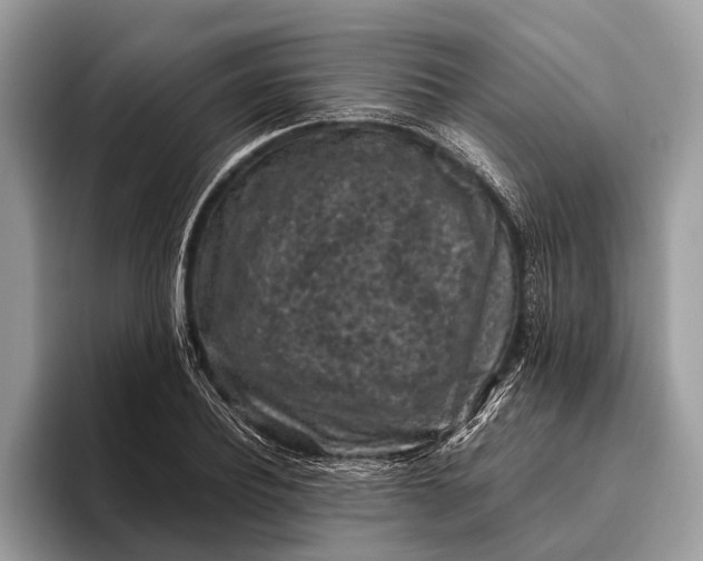 X0000095910932200801251007