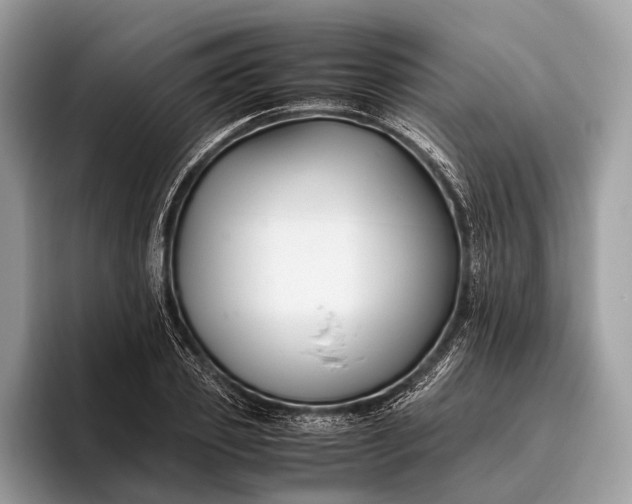 X0000095910933200801251007