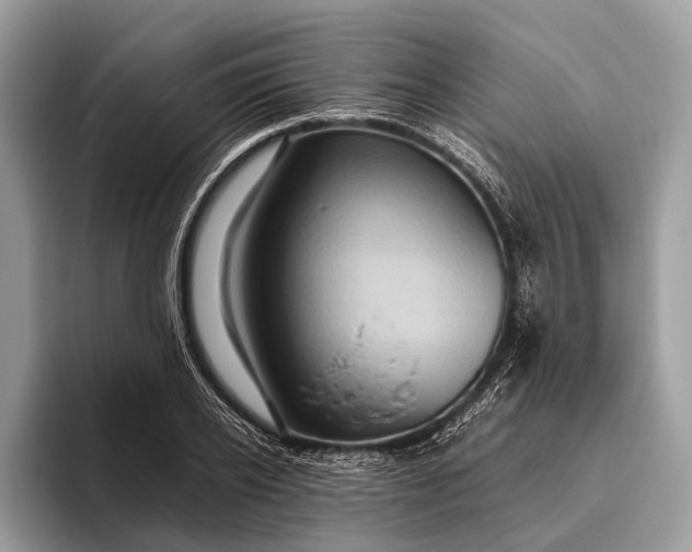 X0000095910934200801251007