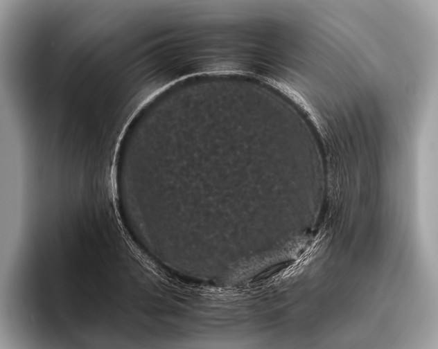 X0000095910935200801251007