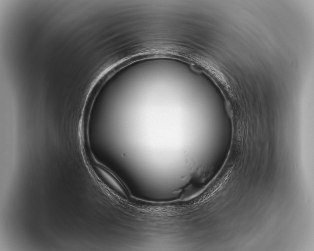 X0000095910936200801251007