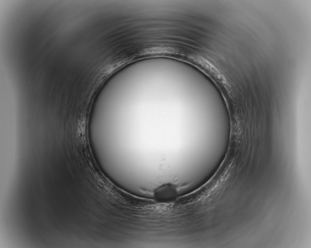 X0000095910937200801251007